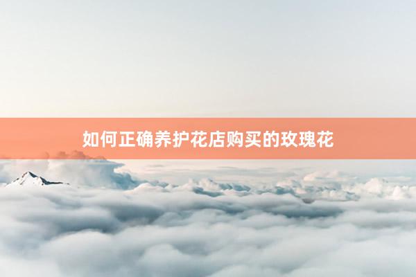 如何正确养护花店购买的玫瑰花